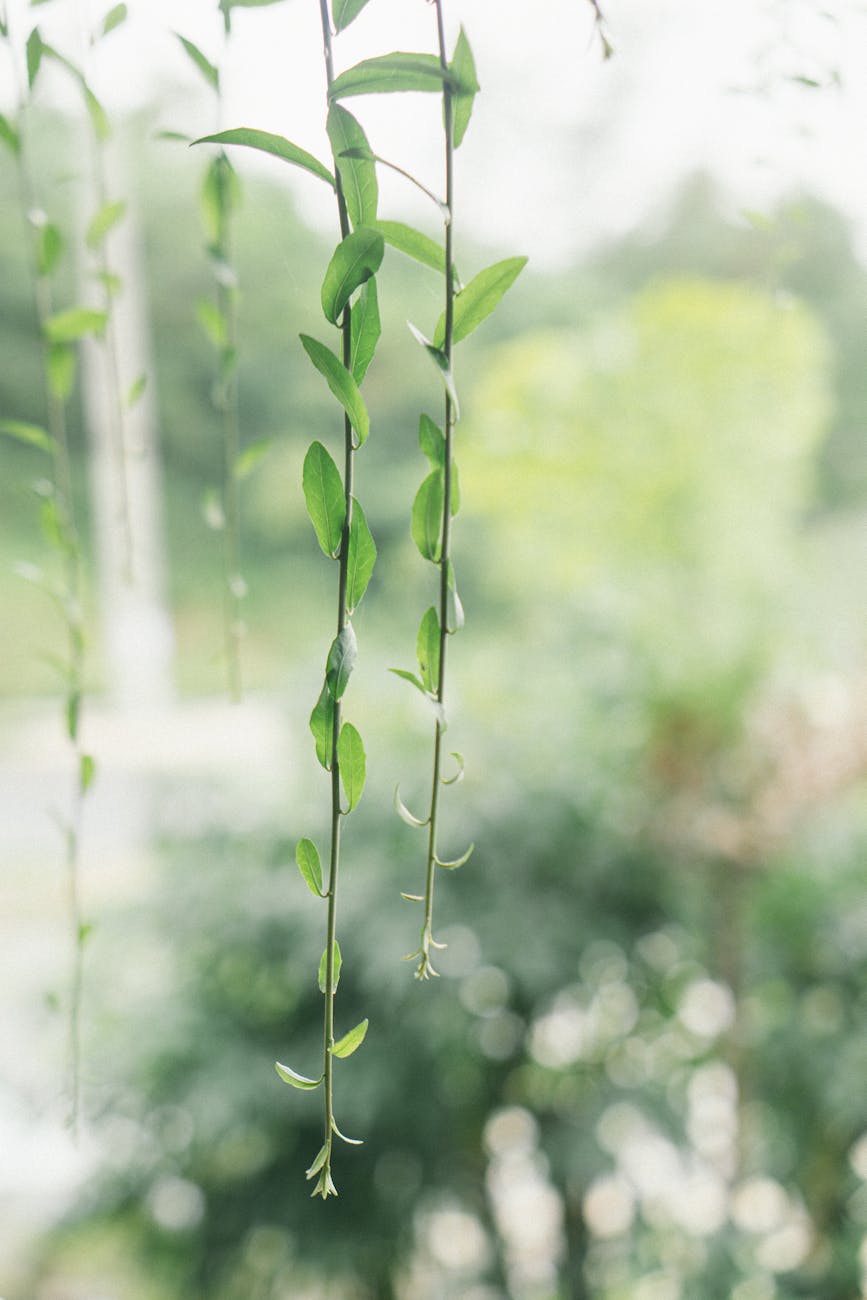 This Is Your Sign To Go No Contact